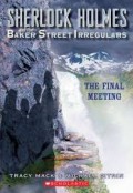 Sherlock Holmes And The Baker Street Irregulars : The Final Meeting