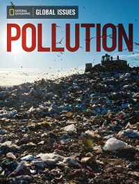 Global Issues : Pollution