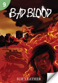 The Long Road To Lucca (Page Turner 9)