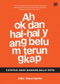Ahok Dan Hal-Hal Yang Belum Terungkap