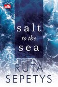 Salt To The Sea