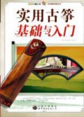 Shi Yong Gu Zheng Ji Chu Yu Ru Men -