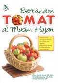 Bertanam Tomat Dimusim Hujan