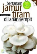 Bertanam Jamur Tiram Di Lahan Sempit