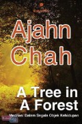 A Tree In A Forest : Meditasi Dalam Segala Objek Kehidupan