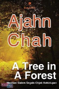 A Tree In A Forest : Meditasi Dalam Segala Objek Kehidupan
