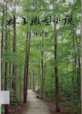 Lin Zi Wei Xing Xiao Shuo -