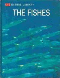 The Fishes