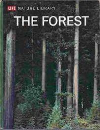 The Forest