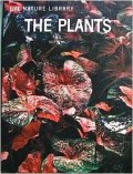 The Plants