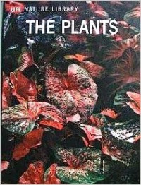 The Plants